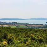 La Superba * Pozzo (Arezzo)
